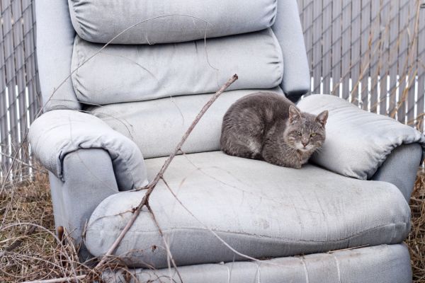 Recliner Disposal in Midland
